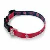 MLB Backpacks Wincraft St. Louis Cardinals Team Dog Collar -Wincraft Sales Store unnamed file 1169