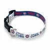 MLB Dog Bowls Wincraft Chicago Cubs Team Dog Collar 1 MLB Dog Bowls Wincraft Chicago Cubs Team Dog Collar -Wincraft Sales Store unnamed file 1268