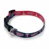 MLB Dog Bowls Wincraft Minnesota Twins Team Pet Collar -Wincraft Sales Store unnamed file 1324