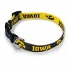 College Home Accents Wincraft Iowa Hawkeyes Team Pet Color 1 College Home Accents Wincraft Iowa Hawkeyes Team Pet Color -Wincraft Sales Store unnamed file 582
